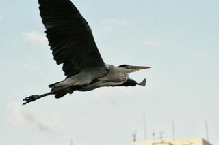 IMG_2073.jpg